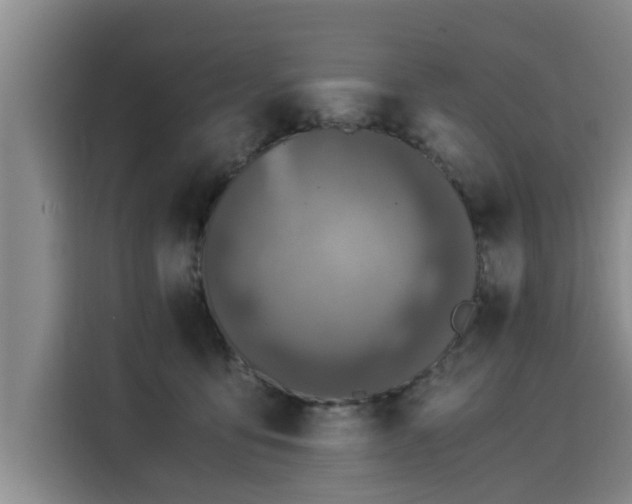 X0000116050419200911271222