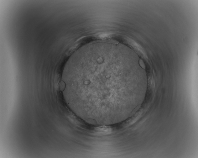X0000116050421200911271222