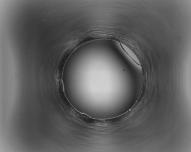 X0000116050423200911271222