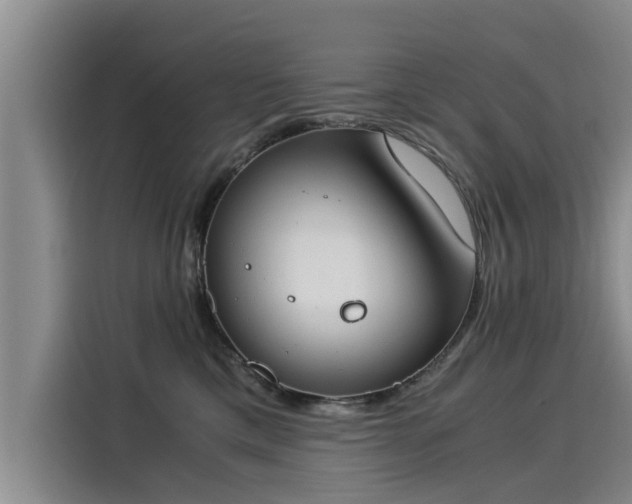 X0000116050425200911271222