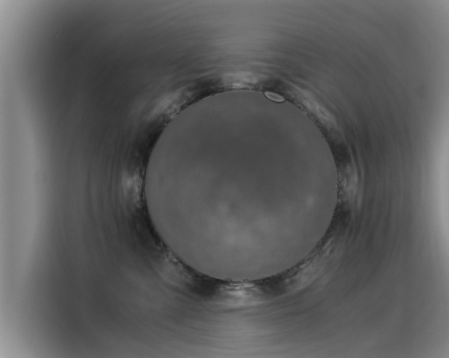 X0000116050427200911271222