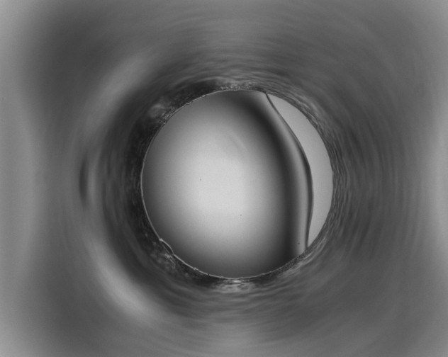 X0000116050429200911271222