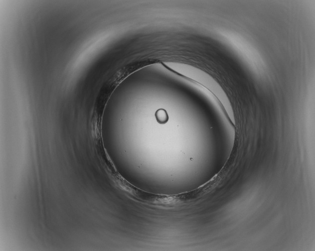 X0000116050431200911271222