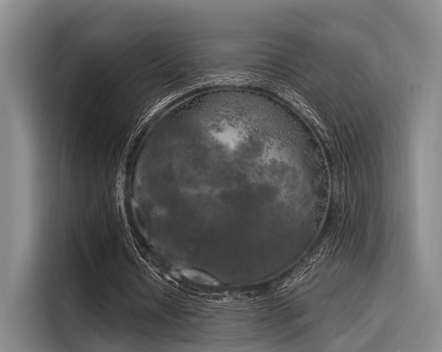 X0000116050434200911271221