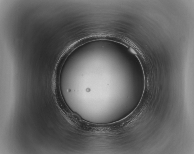 X0000116050436200911271221