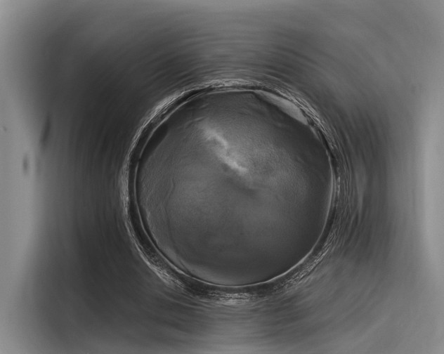 X0000116050438200911271221