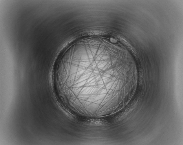 X0000116050439200911271221