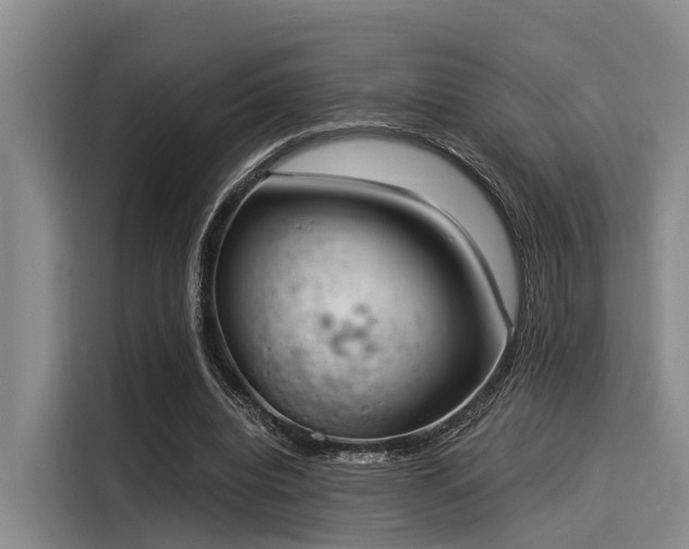 X0000116050440200911271221