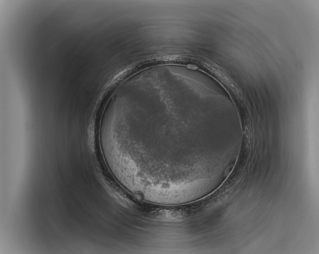 X0000116050442200911271221