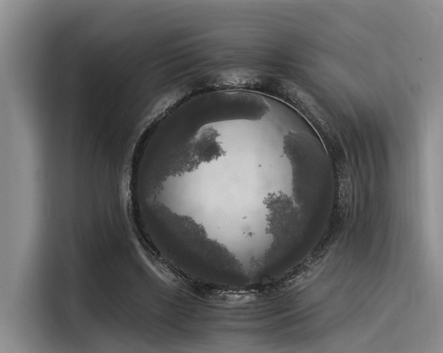 X0000116050443200911271221
