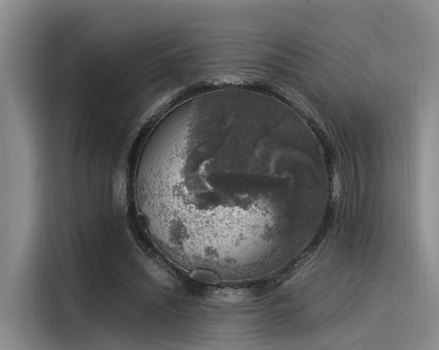X0000116050444200911271221