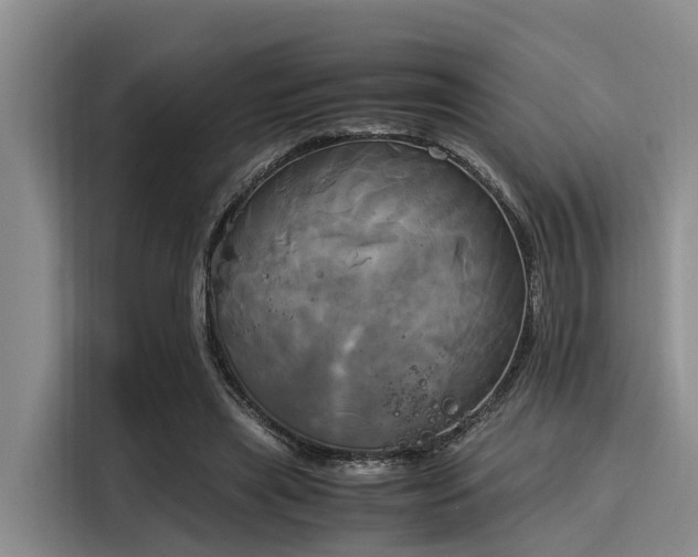 X0000116050445200911271221