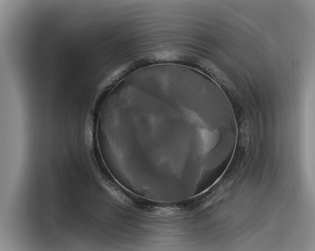 X0000116050446200911271221