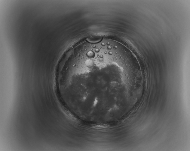 X0000116050447200911271221