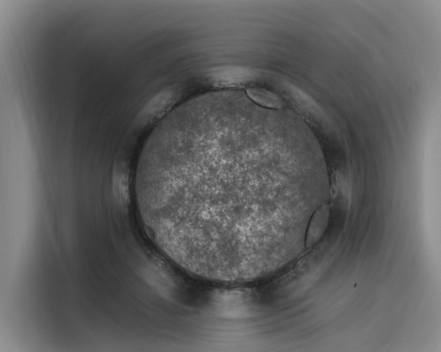 X0000116050452200911271221