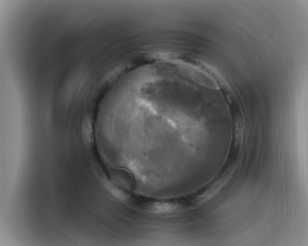 X0000116050453200911271221