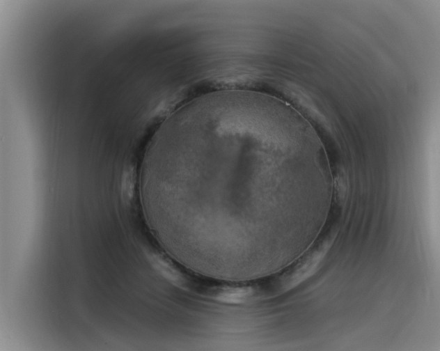 X0000116050458200911271221