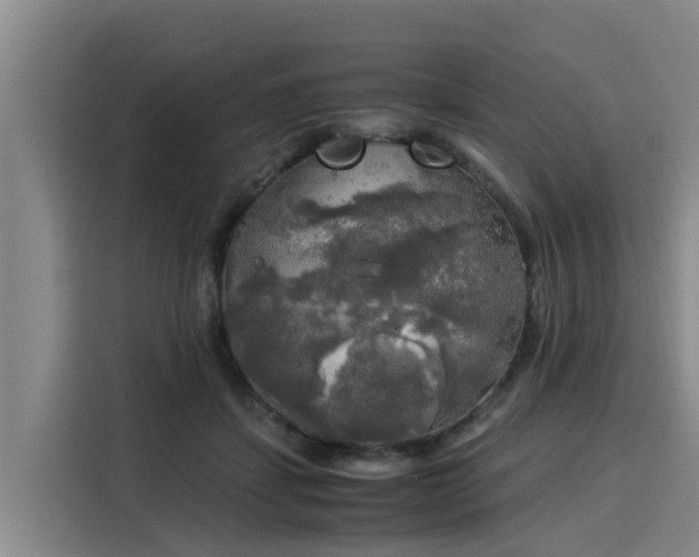 X0000116050459200911271221