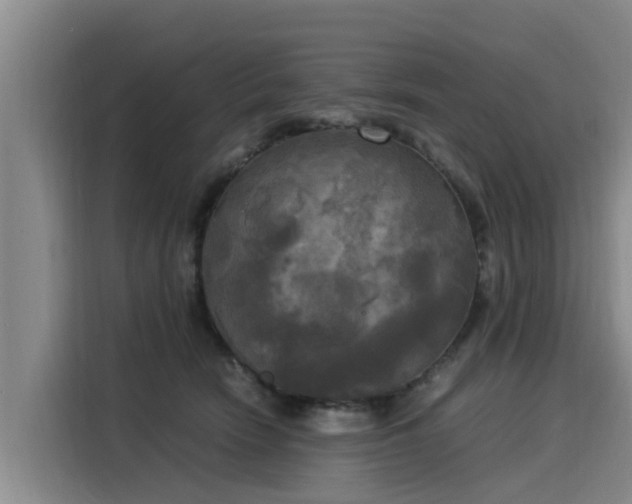 X0000116050466200911271221