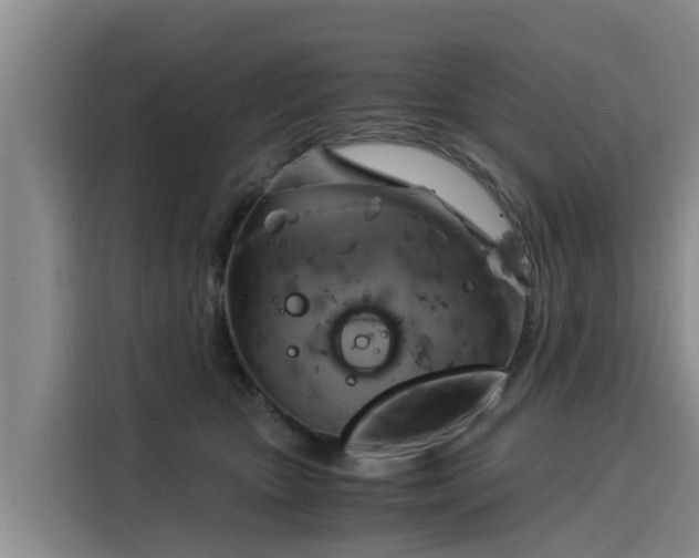 X0000116050467200911271221