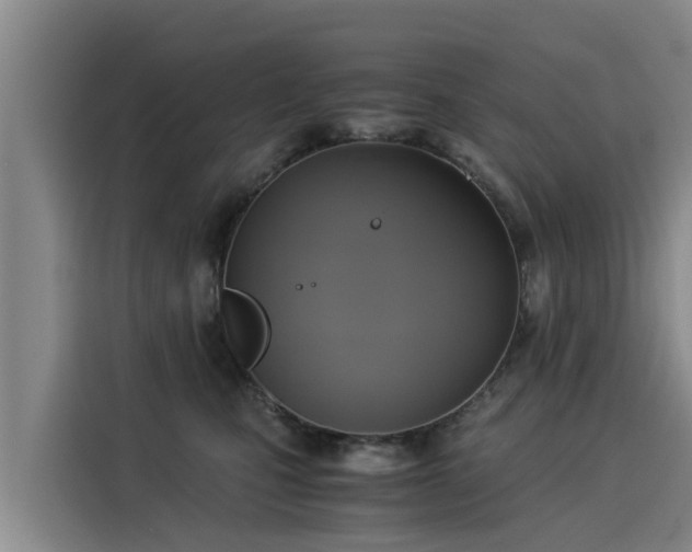 X0000116050471200911271222