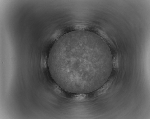 X0000116050474200911271222
