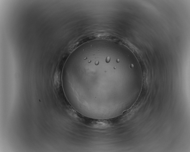 X0000116050475200911271222