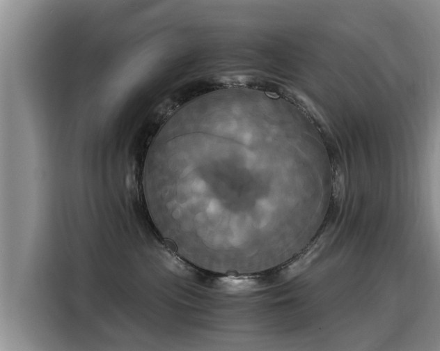 X0000116050477200911271222