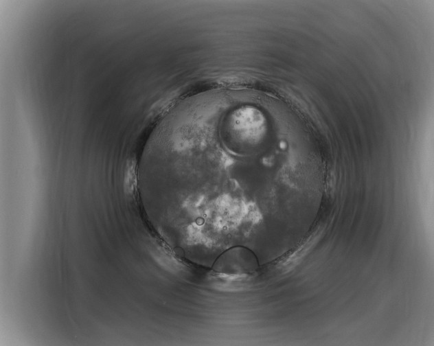 X0000116050478200911271222