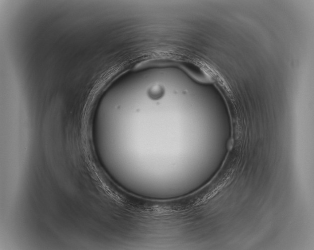 X0000116050481200911271221
