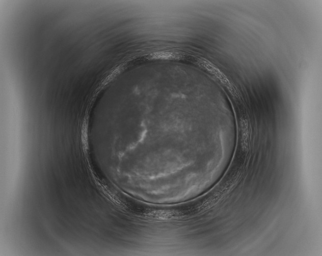 X0000116050482200911271221
