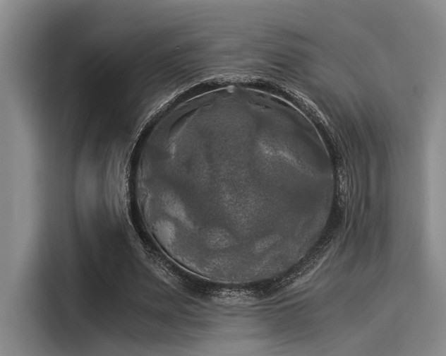 X0000116050487200911271221