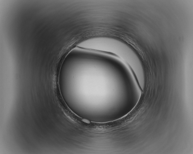 X0000116050489200911271221