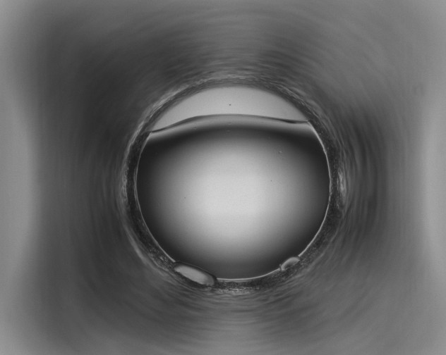 X0000116050492200911271221