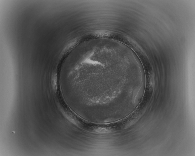X0000116050494200911271221
