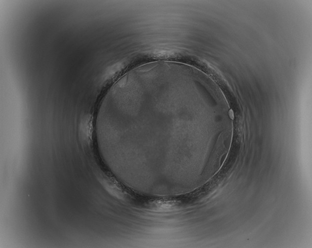 X0000116050495200911271221