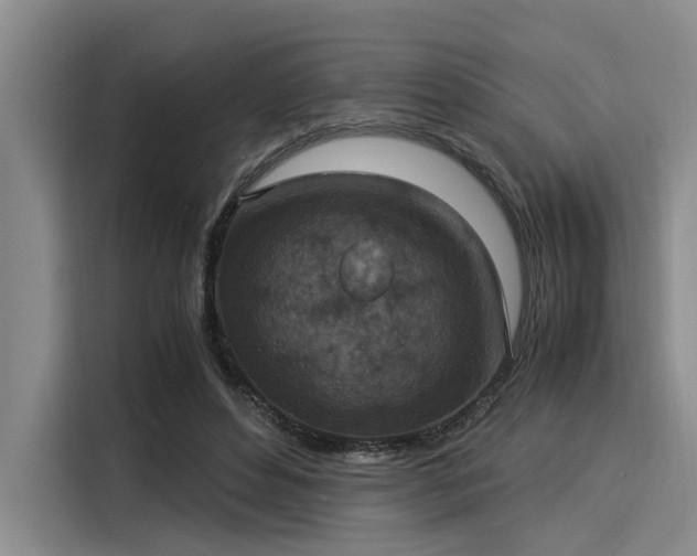 X0000116050496200911271221
