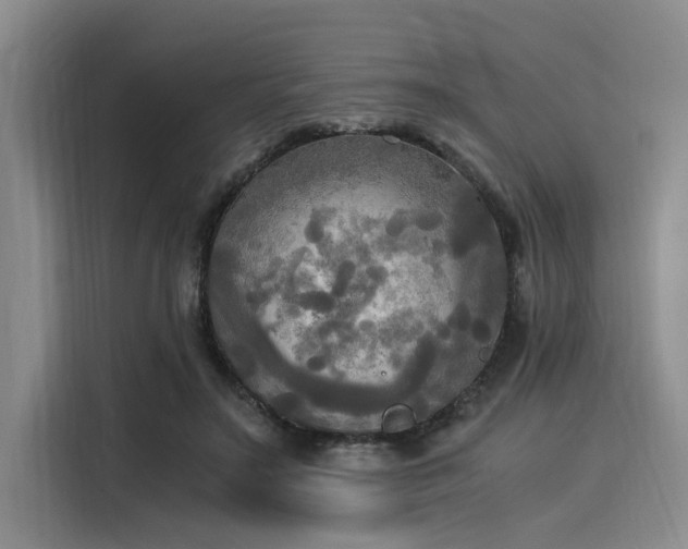 X0000116050499200911271221