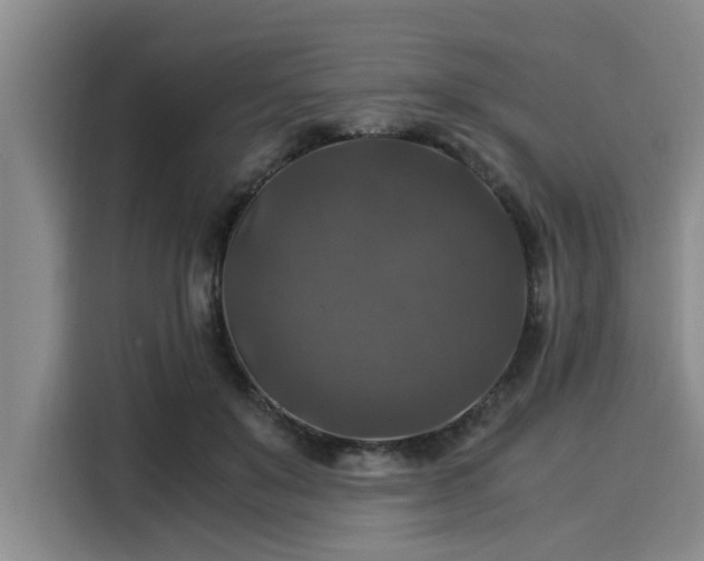 X0000116050503200911271221