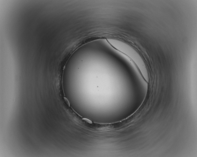 X0000116050505200911271221