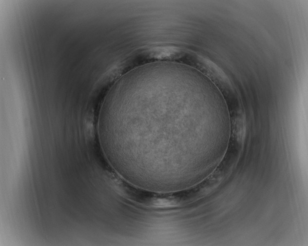 X0000116050510200911271221