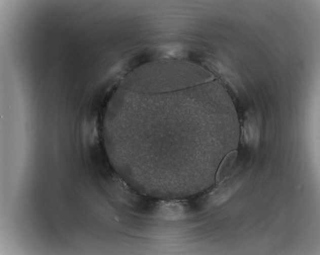 X0000116050520200911271220
