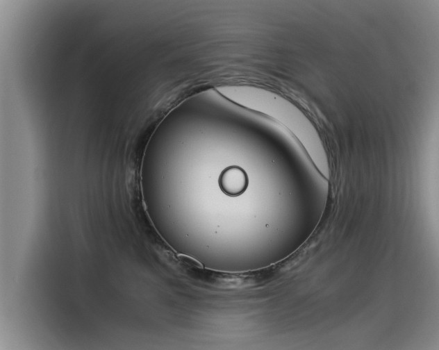 X0000116050521200911271220