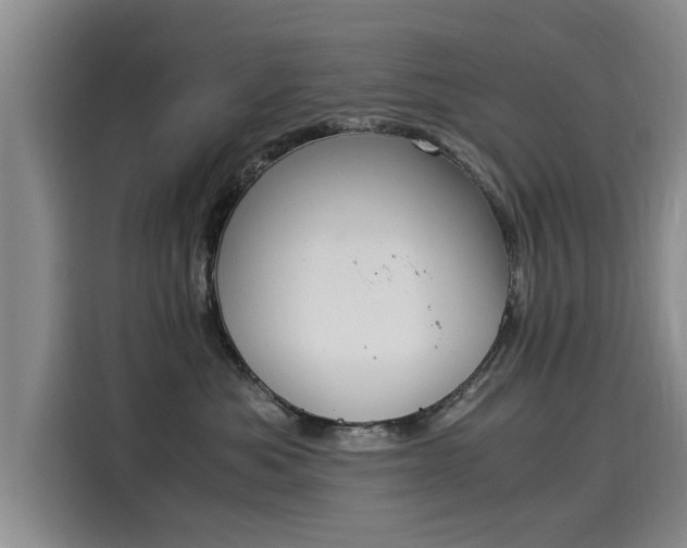 X0000116050525200911271220