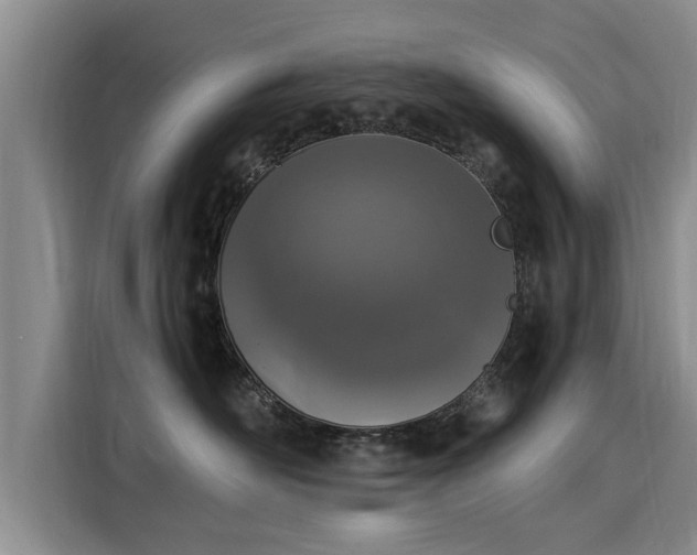 X0000116050526200911271220