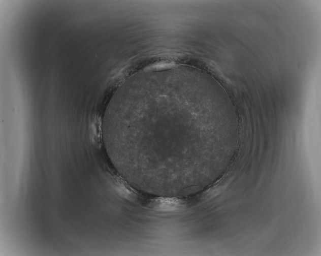 X0000116050528200911271220