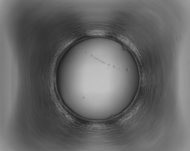 X0000116050529200911271220