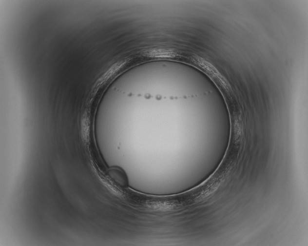 X0000116050533200911271220