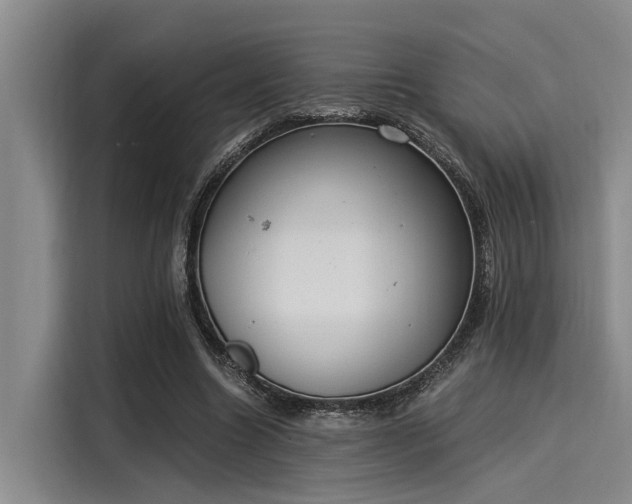 X0000116050538200911271220