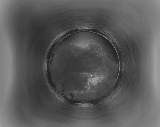 X0000116050539200911271220